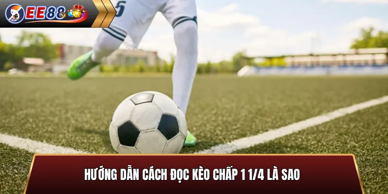 Hướng dẫn cách đọc kèo chấp 1 1/4 là sao