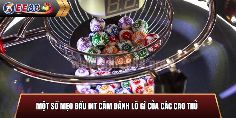 Một số mẹo đầu đit câm đánh lô gì của các cao thủ