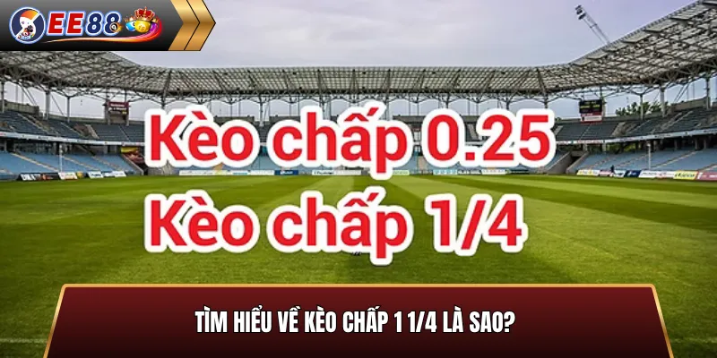 Tìm hiểu về kèo chấp 1 1/4 là sao?