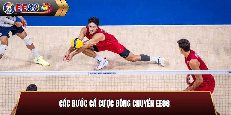 Các bước cá cược bóng chuyền EE88