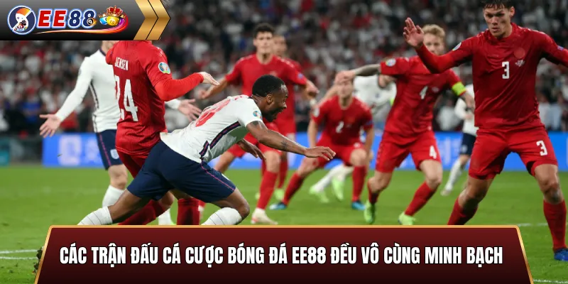 Các trận đấu cá cược bóng đá EE88 đều vô cùng minh bạch