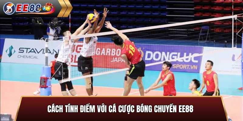 Cách tính điểm với cá cược bóng chuyền EE88