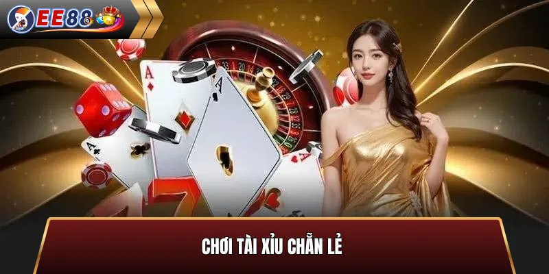 Chơi tài xỉu chẵn lẻ