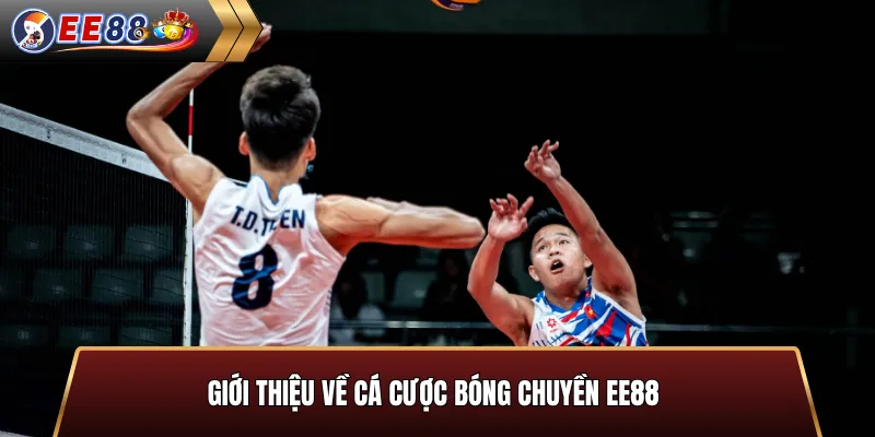 Giới thiệu về cá cược bóng chuyền EE88