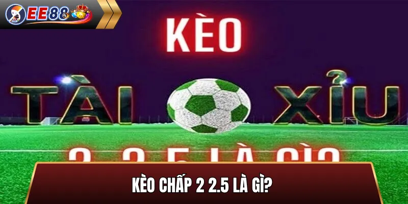 Kèo chấp 2 2.5 là gì?
