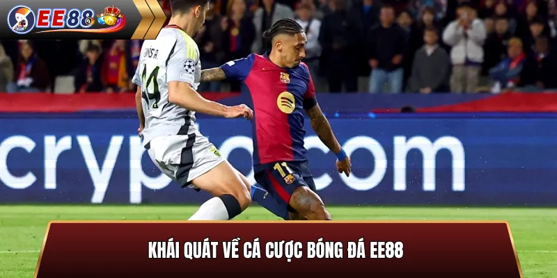 Khái quát về cá cược bóng đá EE88