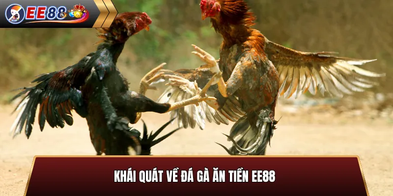 Khái quát về đá gà ăn tiền EE88