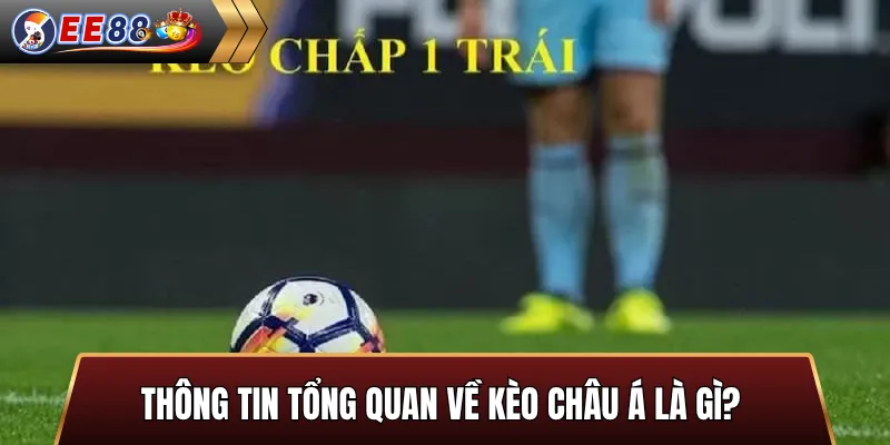 Chia sẻ cách tính tiền kèo chấp 1 trái là sao
