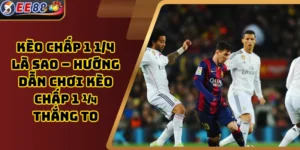 Kèo Chấp 1 1/4 Là Sao – Hướng Dẫn Chơi Kèo Chấp 1 ¼ Thắng To