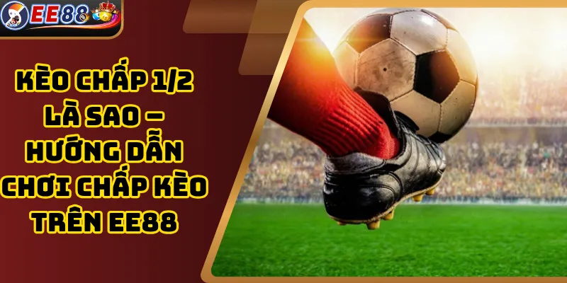 Kèo Chấp 1/2 Là Sao – Hướng Dẫn Chơi Chấp Kèo Trên EE88