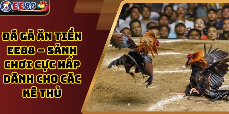 Đá gà ăn tiền EE88 – Sảnh chơi cực hấp dành cho các kê thủ