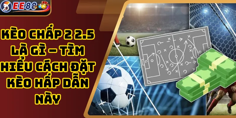 Kèo Chấp 2 2.5 Là Gì – Tìm Hiểu Cách Đặt Kèo Hấp Dẫn Này