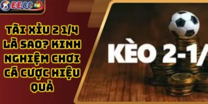 Tài Xỉu 2 1/4 Là Sao? Kinh Nghiệm Chơi Cá Cược Hiệu Quả