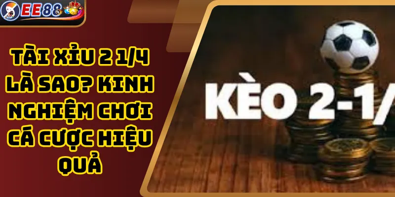 Tài Xỉu 2 1/4 Là Sao? Kinh Nghiệm Chơi Cá Cược Hiệu Quả