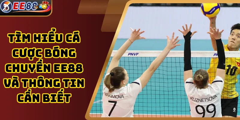 Tìm hiểu cá cược bóng chuyền EE88 và thông tin cần biết